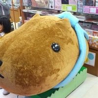 Wind (@wind_asuka) 's Twitter Profile