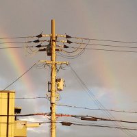 白黒時々息子とTCG (@7shirokuro11) 's Twitter Profile