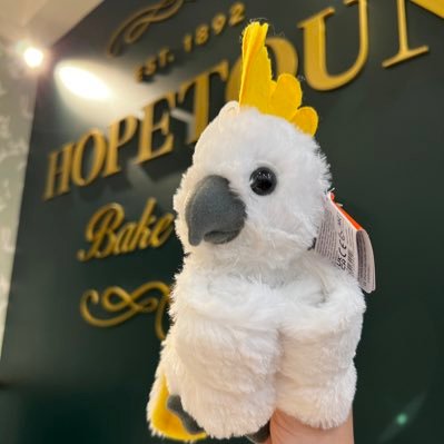 YukYuk_26's profile picture. 日本侵略は最終段階を迎えています。マスコミと歴史捏造教育による日本文化の破壊、大和魂の消滅。LGBTQ多様性の名の元に子供達への異常な早期性教育の目的は小児性愛の正当化。ワクチンと化学製品、添加物食、放射能汚染土ばら撒きと日本人貧困化は大和民族殲滅作戦です。今すぐ抗い抵抗を！　　　🌏🐱🦜❤️ベジタリアン🥦