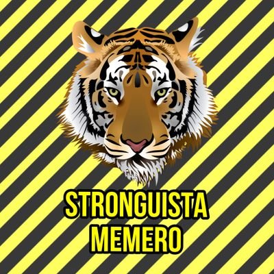 Mejores datos, memes e información del poderoso tigre. 💛🖤