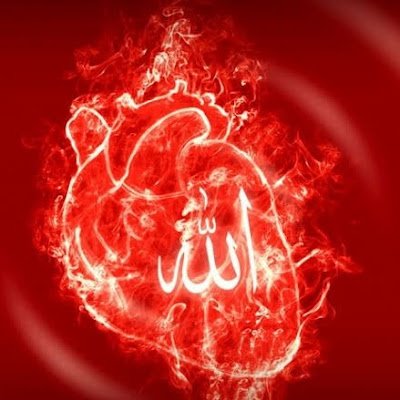 MohdAsh98693514's profile picture. 