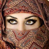 Sheikha Mahra (@cuongvntv) 's Twitter Profile