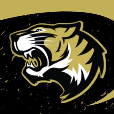 Official Twitter account for Irving Tigers Football #WeWillWin • #LetsHunt • @IrvingHigh Follow us on Instagram: Irving_Tiger_Athletics