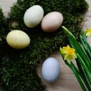 Edwin Bush - @EdwinBush95855 - Twitter