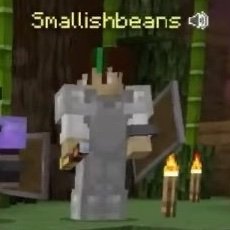 🇨🇦🏳️‍⚧️| admin, member (& king!) of @shellcraftsmp | ethogirl | probably thinking about aragorn | CARRD BYF | m/w @glitchslab 💗 | eng/fr