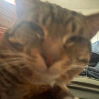 Cunning (@cunningct) 's Twitter Profile