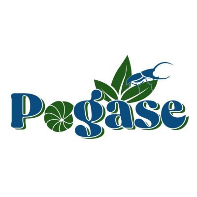 PEGAZH_JMZH's profile picture. 