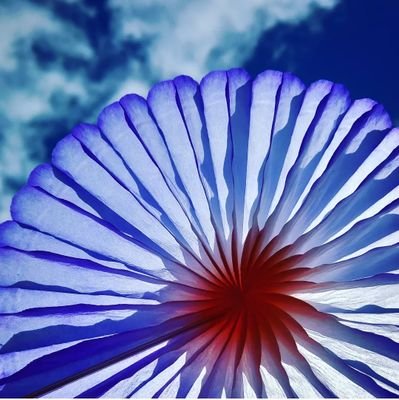 mrs_meep's profile picture. love the little things and the little wins, reading, photography and walks...