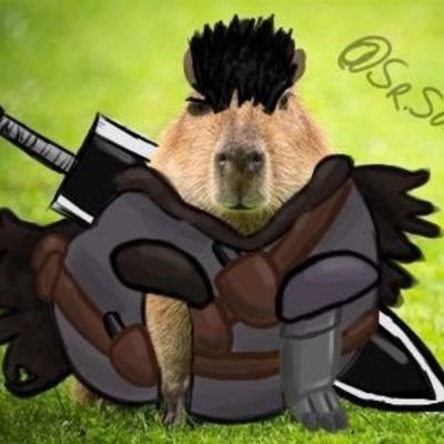 capybaracrazy Profile Picture