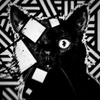 🇩🇪🐈⚡⚡🇩🇪 (@reichskatze) 's Twitter Profile
