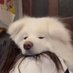 yay (,.) (@yayyei__) Twitter profile photo yay (,.) (@yayyei__) Twitter profile photo