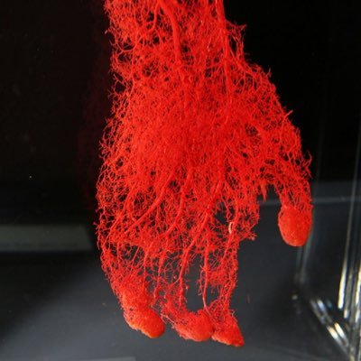 qu_s35's profile picture. 