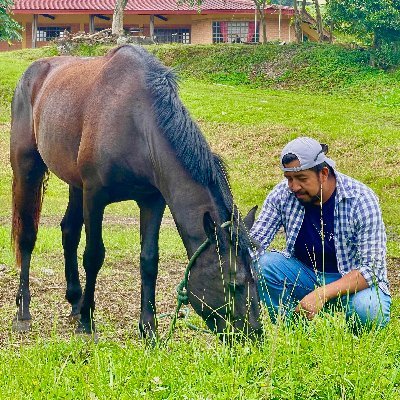 stalinn1985's profile picture. Politólogo - Trabajador Social - Equitación