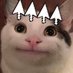 cattard ✨ (@lfgmeow) Twitter profile photo cattard ✨ (@lfgmeow) Twitter profile photo