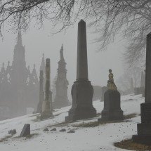 DesolusVT's profile picture. Felt like I've been stuck in a box for a while. Looking to get out, stretch my legs and grab a bite.
PreDebut VTuber 18+ I go by Desolus or Dez. Any pronouns.