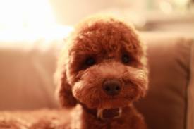 cHiAkI_ww's profile picture. 無料アフィリ情報収集家！
情報ノウハウコレクターです♪
必ずフォロー返ししますのでお気軽に。
いろいろな人とツイッターを通じて情報交換できればいいな♫