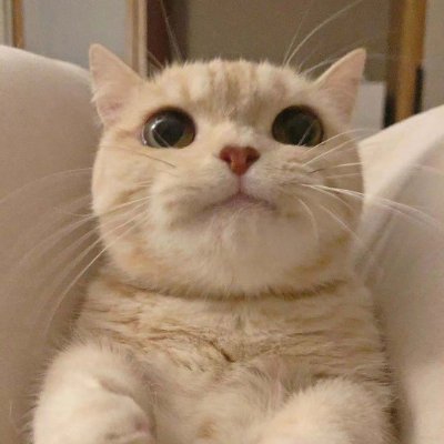 0929Hope23931's profile picture. AL AD Carry Hope