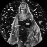 taylorswiftrm's profile picture. 💚🩷