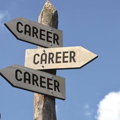 Leading careers in an 11 - 16 secondary school setting