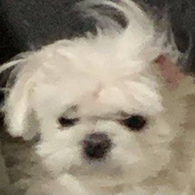 garconfuckk's profile picture. 青 MOKITA 油｡