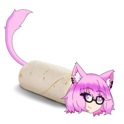 BurritoCatVT's profile picture. 