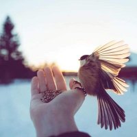 غيث الجزائري (@ghaiithg71104) Twitter profile photo