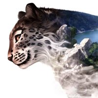 Snow leopard(@Snowleo33636215) 's Twitter Profile Photo