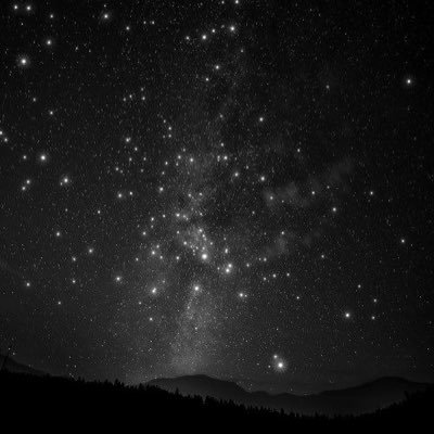 MadameLilouMFC's profile picture. 