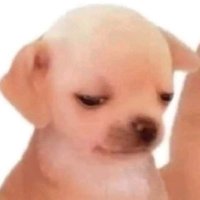 bbyb8 (@moonchiealt) 's Twitter Profile