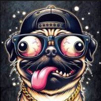 💸TheLordOfTheDawgs💸 (@theshiblord1) 's Twitter Profile