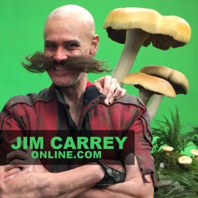 Officially unofficial fansite for Jim Carrey. Get latest news, upcoming movie details & trivia brought to you by the https://t.co/6Ri6SrmiBT Editorial Team.