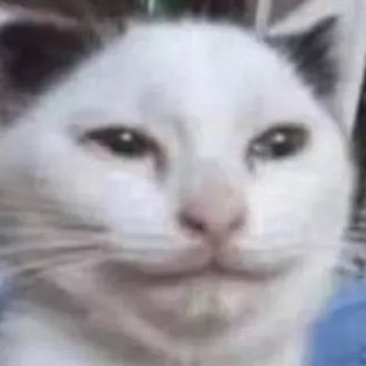 tupryk's profile picture. 