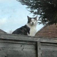 Colin Snashall (@colin_snashall) 's Twitter Profile