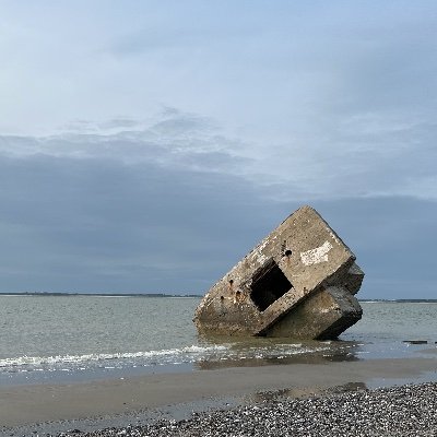 rabizanda's profile picture. Diseño de interacción