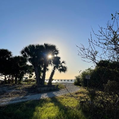 GinnyPowell's profile picture. 