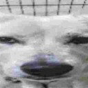 Jake Trinidad - @trinidaddy2010 - Twitter