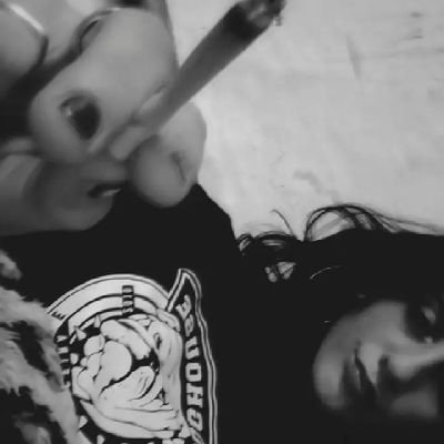 marioelpulento's profile picture. no kiero ya na