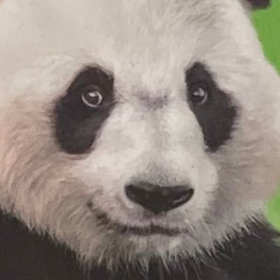 LouStudio_13's profile picture. 