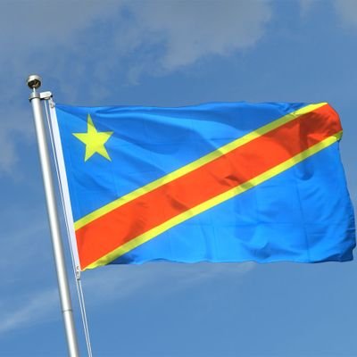 Secrétaire du collectif des communicateurs du Chef 🇨🇩 JOURNALISTE, INTERPRÈTE ET TRADUCTEUR.  (créateur des contenus)