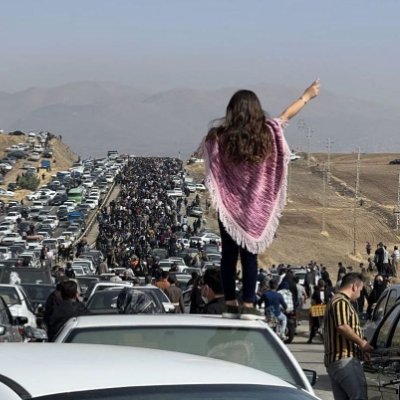 من فعال حقوق بشر هستم و خواهان یک  جمهوری دموکراتیک در ایران هستم
#نه_شاه_نه_شیخ