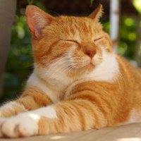 Cat Dylan (@itworldpm) 's Twitter Profile Photo Cat Dylan (@itworldpm) 's Twitter Profile Photo