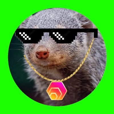 Just a mongoose trying to make his way in the world. Likes $HEX, $TitanX, and dead cobras.