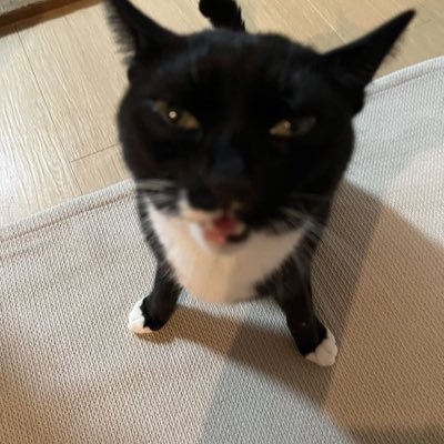 Noahさんのプロフィール画像