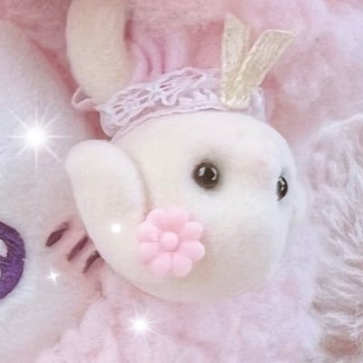 mc0mc2's profile picture. 