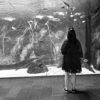 fragola_fee's profile picture. stille mitleserin. swiftie. harrie. coffeelover. 🍉🍒lot 26.06.22 hamburg 🍓💕lot 17.05.&18.05.2023🌻🍇 eras tour 28.07.2024 ✨ eras tour 08.08.2024 🖤