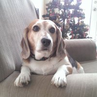 DS Smith π»πΊπ¦ πππ (@tobsmom) 's Twitter Profile