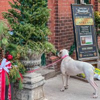 雾岛听风😜# (@fadinhdyt) 's Twitter Profile