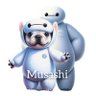 furemusa's profile picture. 2020.6.1生まれ♂ 人大好き 犬ちょっと苦手なフレンチブルドッグ むさしです🐶無言フォロー失礼します🙇‍♀️ フォロー大歓迎です🐾