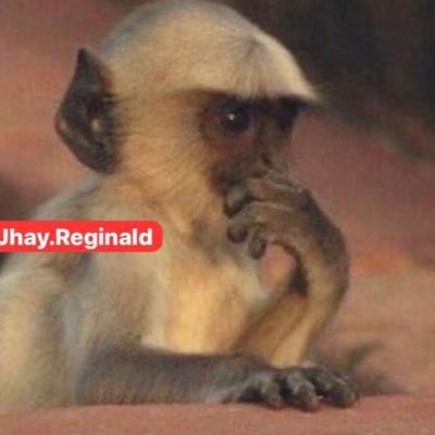 e_swagz's profile picture. Data analyst