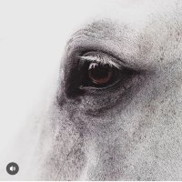 Sun (@sun1379594) Twitter profile photo